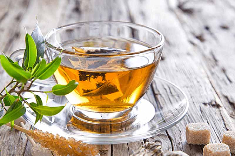 Trà Atiso phù hợp với nhiều đối tượng