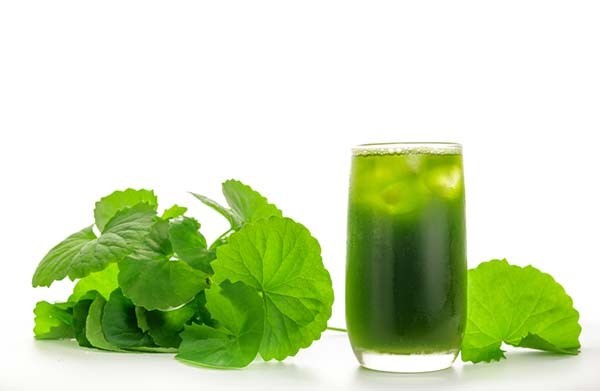 Những loại nước uống giải nhiệt cơ thể cực tốt trong ngày hè oi bức ảnh 2